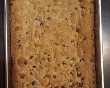 Peanut Butter Chocolate Chip Bars – 2024