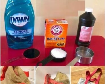 DIY Homemade Stain Remover